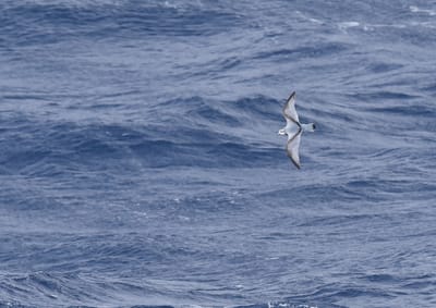 DSC_9342.JPG