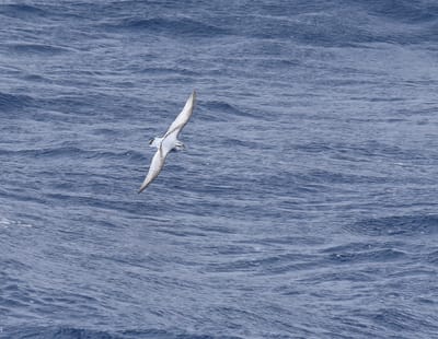 DSC_9345.JPG