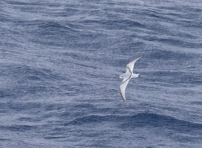 DSC_9355.JPG