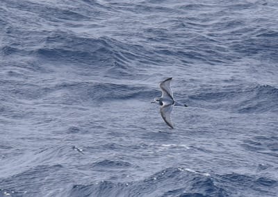 DSC_9356.JPG