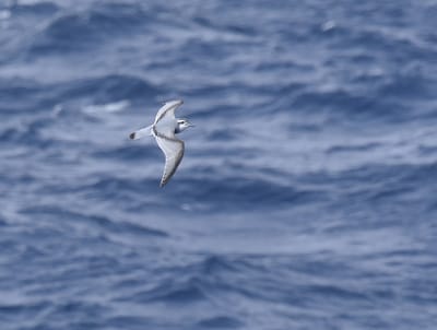 DSC_9375.JPG