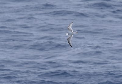 DSC_9388.JPG