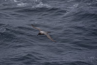 DSC_9406.JPG