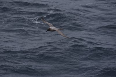 DSC_9407.JPG