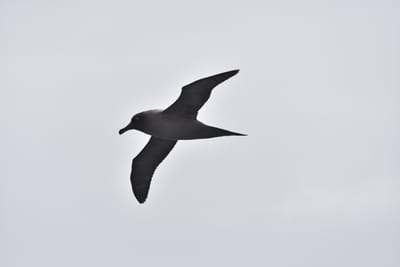 DSC_9409.JPG