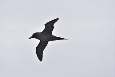 DSC_9410.JPG