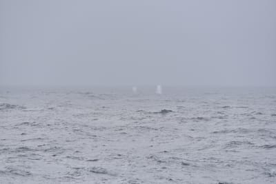 DSC_9412.JPG