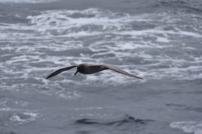 DSC_9413.JPG