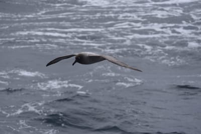 DSC_9414.JPG