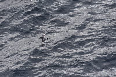 DSC_9415.JPG
