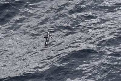DSC_9416.JPG