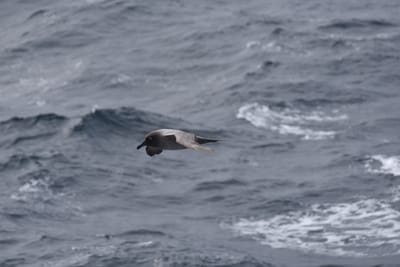 DSC_9420.JPG