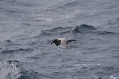 DSC_9421.JPG