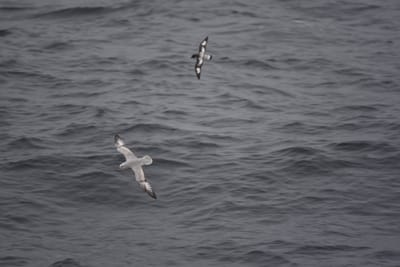 DSC_9423.JPG