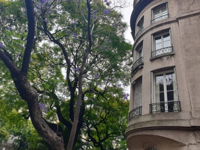 20191203_113722.jpg
