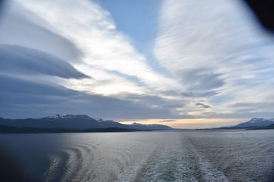 DSC_8919.JPG