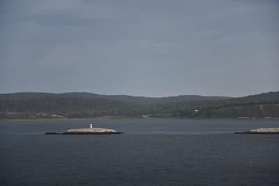 DSC_8920.JPG