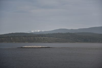 DSC_8921.JPG