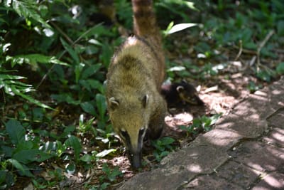 DSC_8653.JPG