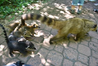 DSC_8656.JPG