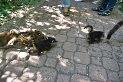 DSC_8657.JPG