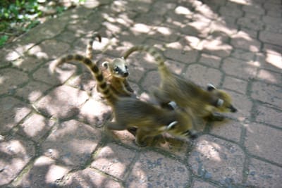 DSC_8660.JPG