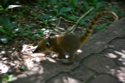 DSC_8661.JPG