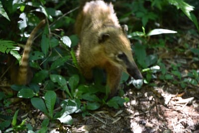 DSC_8662.JPG