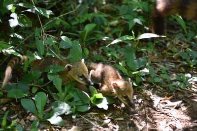 DSC_8664.JPG