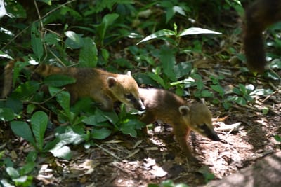 DSC_8665.JPG