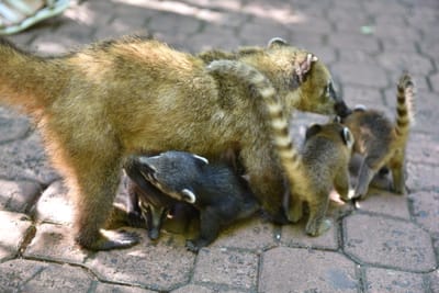 DSC_8670.JPG