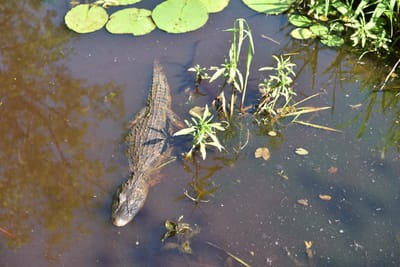 DSC_8673.JPG