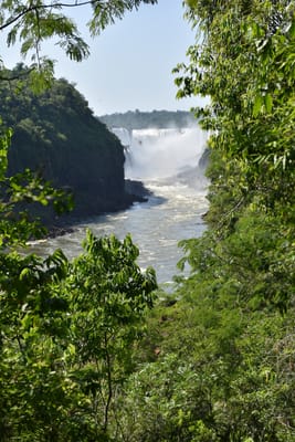 DSC_8676.JPG