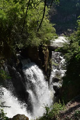 DSC_8679.JPG