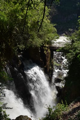 DSC_8680.JPG