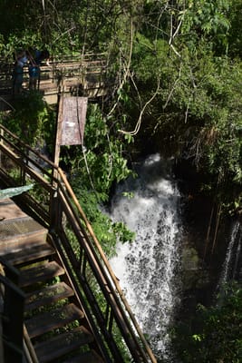 DSC_8681.JPG