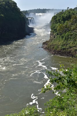DSC_8682.JPG