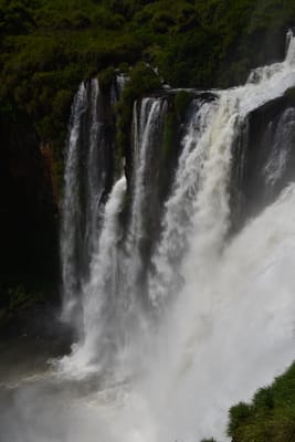 DSC_8715.JPG