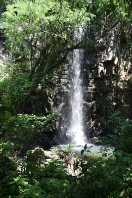 DSC_8716.JPG