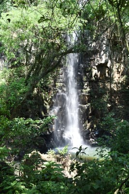 DSC_8717.JPG