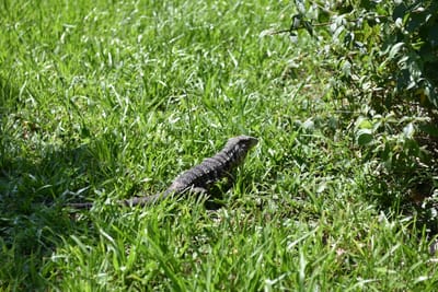 DSC_8724.JPG
