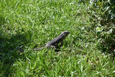 DSC_8725.JPG