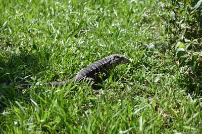 DSC_8726.JPG