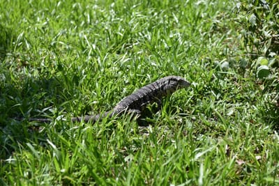 DSC_8727.JPG