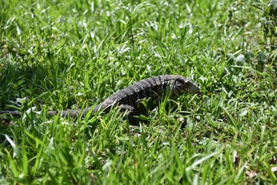 DSC_8728.JPG