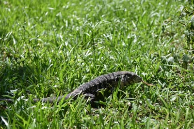 DSC_8729.JPG