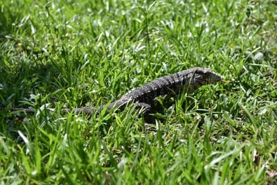 DSC_8731.JPG
