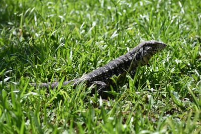 DSC_8734.JPG