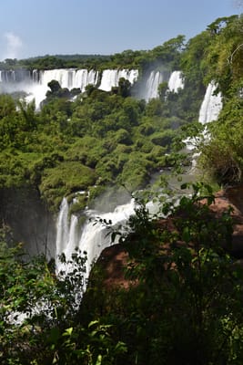 DSC_8740.JPG