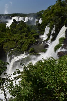 DSC_8743.JPG